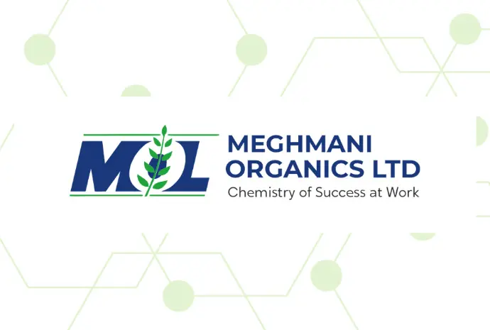 Meghmani Organcis
